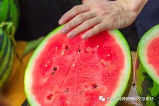 打鱼晒网吃瓜,乡村生活的悠闲时光