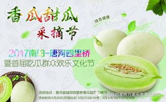 网红吃瓜大集合集,揭秘娱乐圈幕后风云