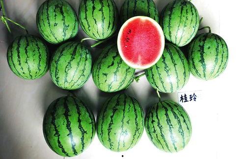 南通本地吃瓜新闻网,揭秘本地热点事件背后的故事