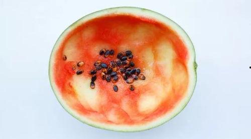 陇西网红吃瓜事件真相是真的吗,真相揭秘，还原事件始末