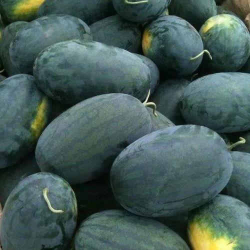 湖北网红吃瓜事件