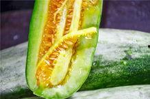 网红吃的那个瓜是什么,一场网络狂欢背后的真相