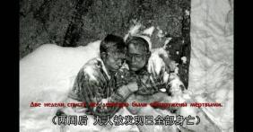延安网红吃瓜事件视频,一场网络舆论的风暴与反思